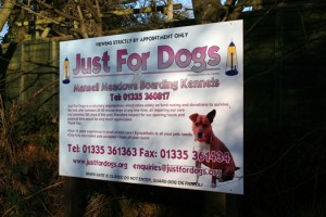 Just For Dogs